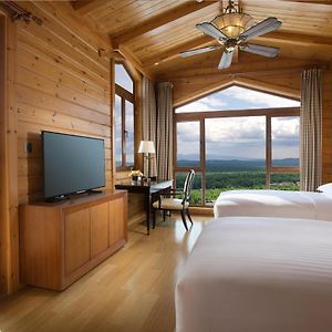 Swiss Loft Villa Mountain View